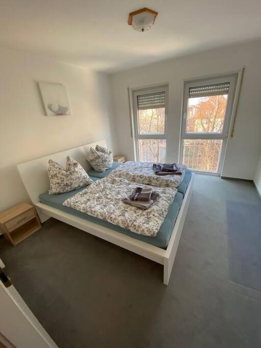 Schoene 2-Raumwohnung In Dresda Esterno foto